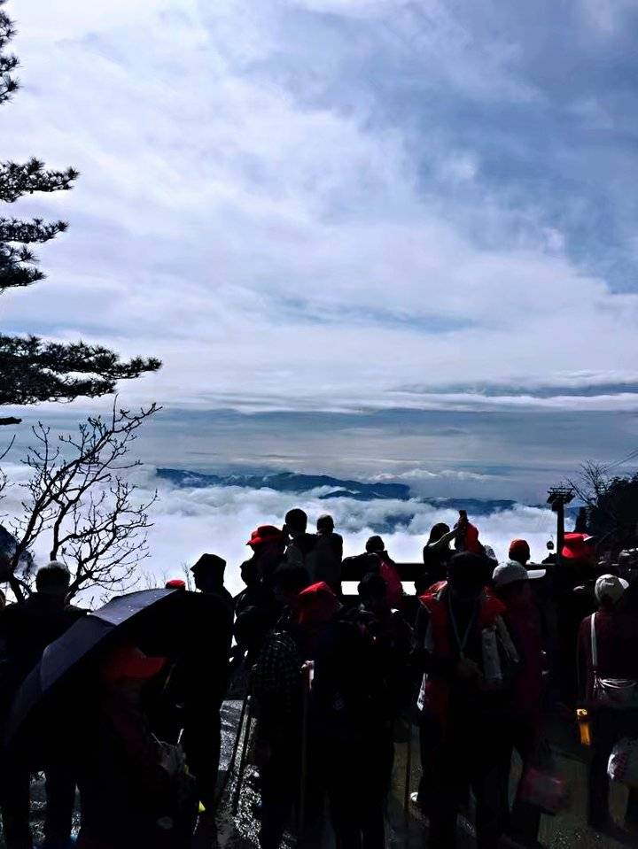 《黄山之旅》这真的只是抛砖引玉,更美的在后面